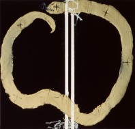 tAPIES